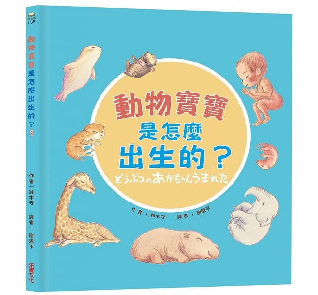 動物寶寶是怎麼出生的？